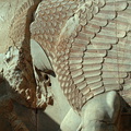 Persepolis 52