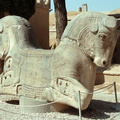 Persepolis 38