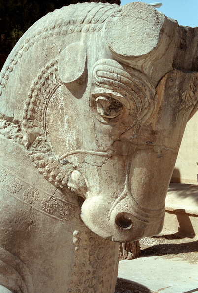 Persepolis_42.jpg