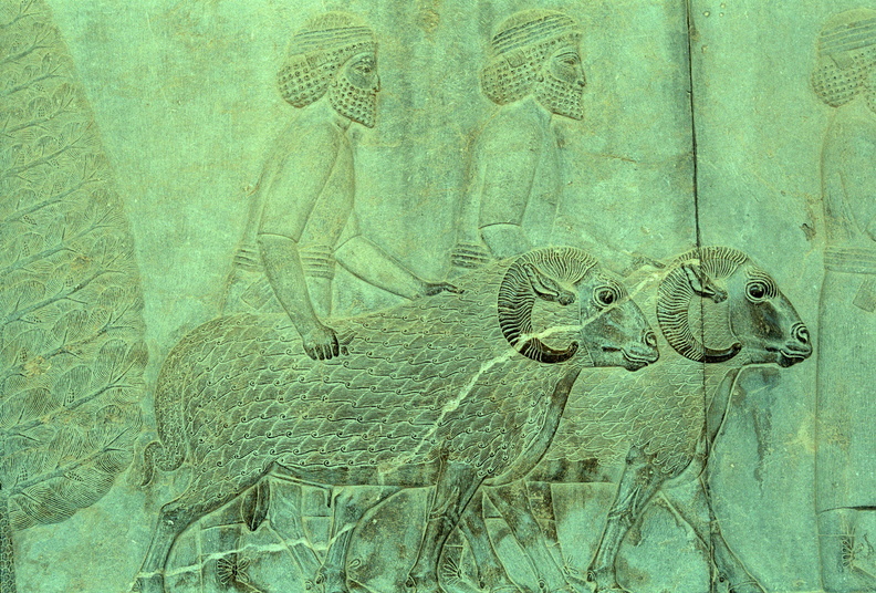 Persepolis 16