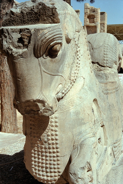 Persepolis 41
