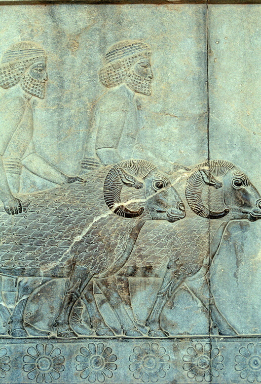 Persepolis 60