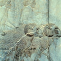 Persepolis 60
