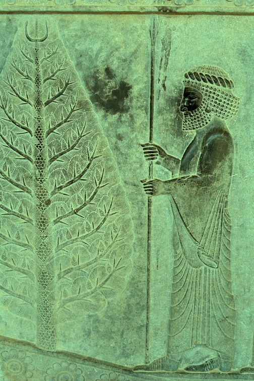 Persepolis 14