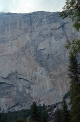 Yosemite 100