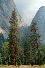 Yosemite 140