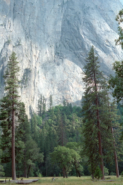 Yosemite 150