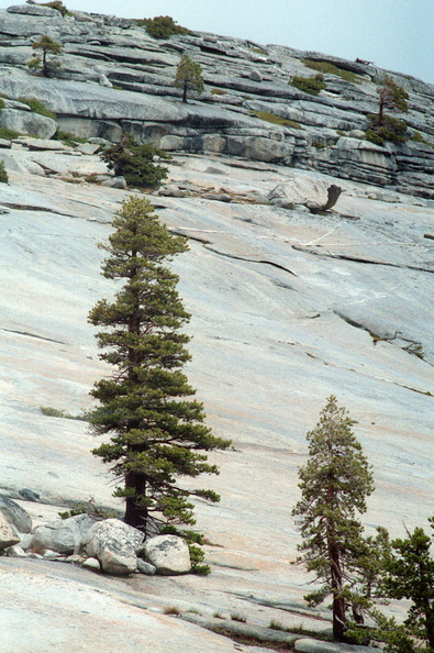 Yosemite_230.jpg