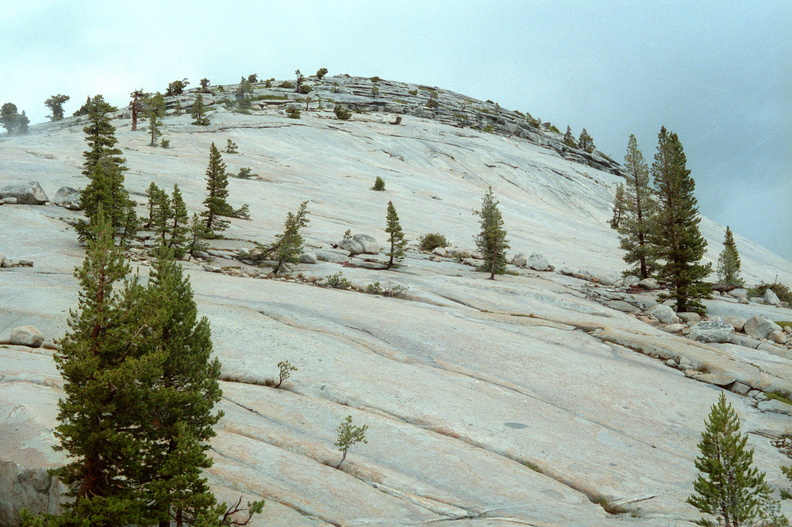 Yosemite 250