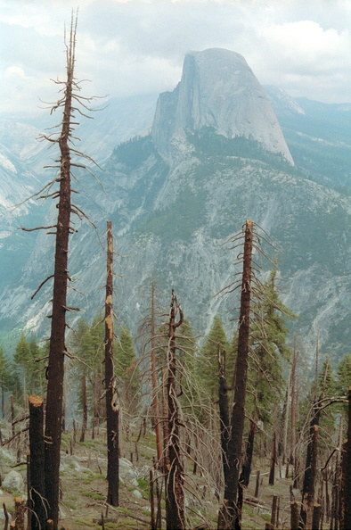 Yosemite_380.jpg