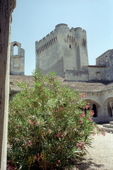 Abbaye de Montmajour 010