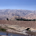 Bamyan 310