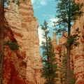 Bryce Canyon 250