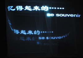  D3Z6658