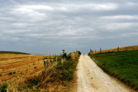  D324577