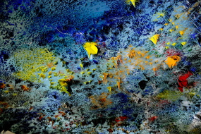  D329590