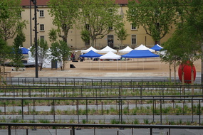 DSC02640
