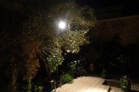 DSC08704