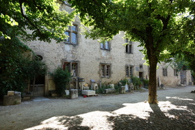 10-DSC08591