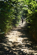 DSC08719