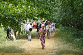 DSC08851