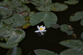 DSC08860