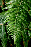 DSC08806