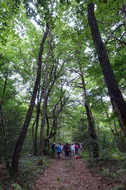 DSC08820