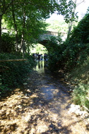 DSC09047