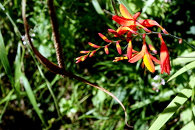 DSC09065