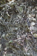 DSC08757