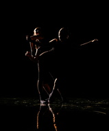 IMG 6884-8