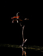 IMG 6892-9