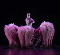 IMG 4111-10