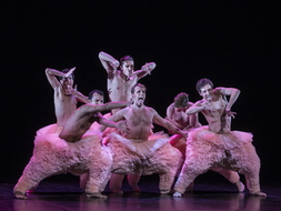 IMG 4134-21