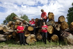 Dentelles poétiques dans la forêt profonde