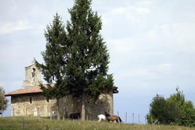  SON5225