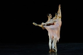  DSC8753