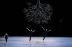 Bella Figura - Jiří Kylián - Ballet de l’Opéra de Lyon