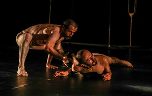 IMG 7764-26