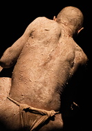 4Y5A6816-11