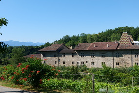 PS1Z6728