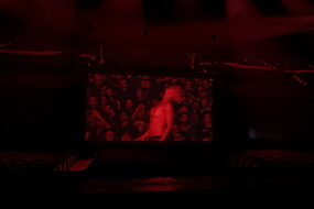  DSC1528