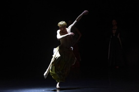  DSC8785