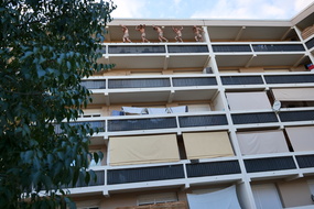 PS1Z7983