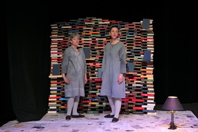 PS1Z2253