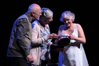  Vieillir debout - Carole Prieur - Jean-Louis Levert