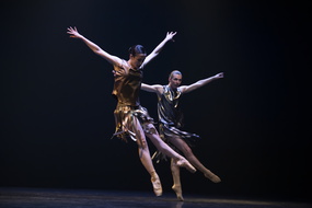  DSC1454