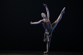  DSC1567