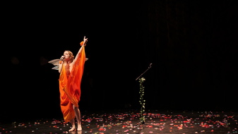 PS1Z9992